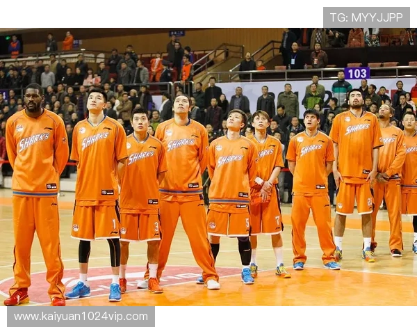 球探篮球：如何利用数据提升球队战术水平与比赛胜率