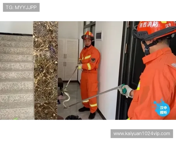 ag真人国际厅登录入口最新官网入口导航及安全登录保障措施介绍